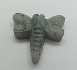 Libelle Labradoriet