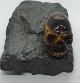 Tijgeroog schedel ca. 3,5 cm