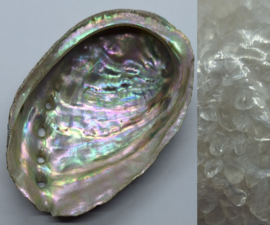 Set - Abalone schelp met Bergkristal getrommelde steentjes