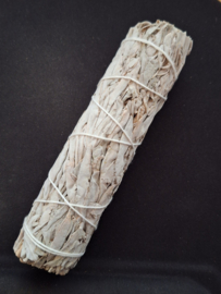 Witte Salie Smudge Stick L
