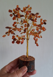 Carneool Edelsteenboom op houten voet