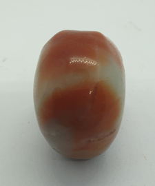 Schedel Amazoniet 1
