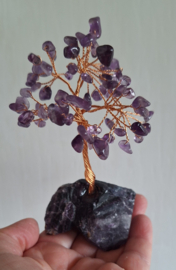 Amethyst boom op fluoriet voet