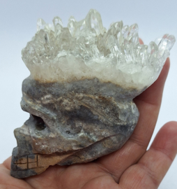 Schedel met Bergkristal cluster
