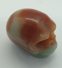 Schedel Amazoniet 1