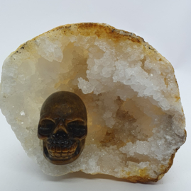Tijgeroog schedel ca. 3,5 cm