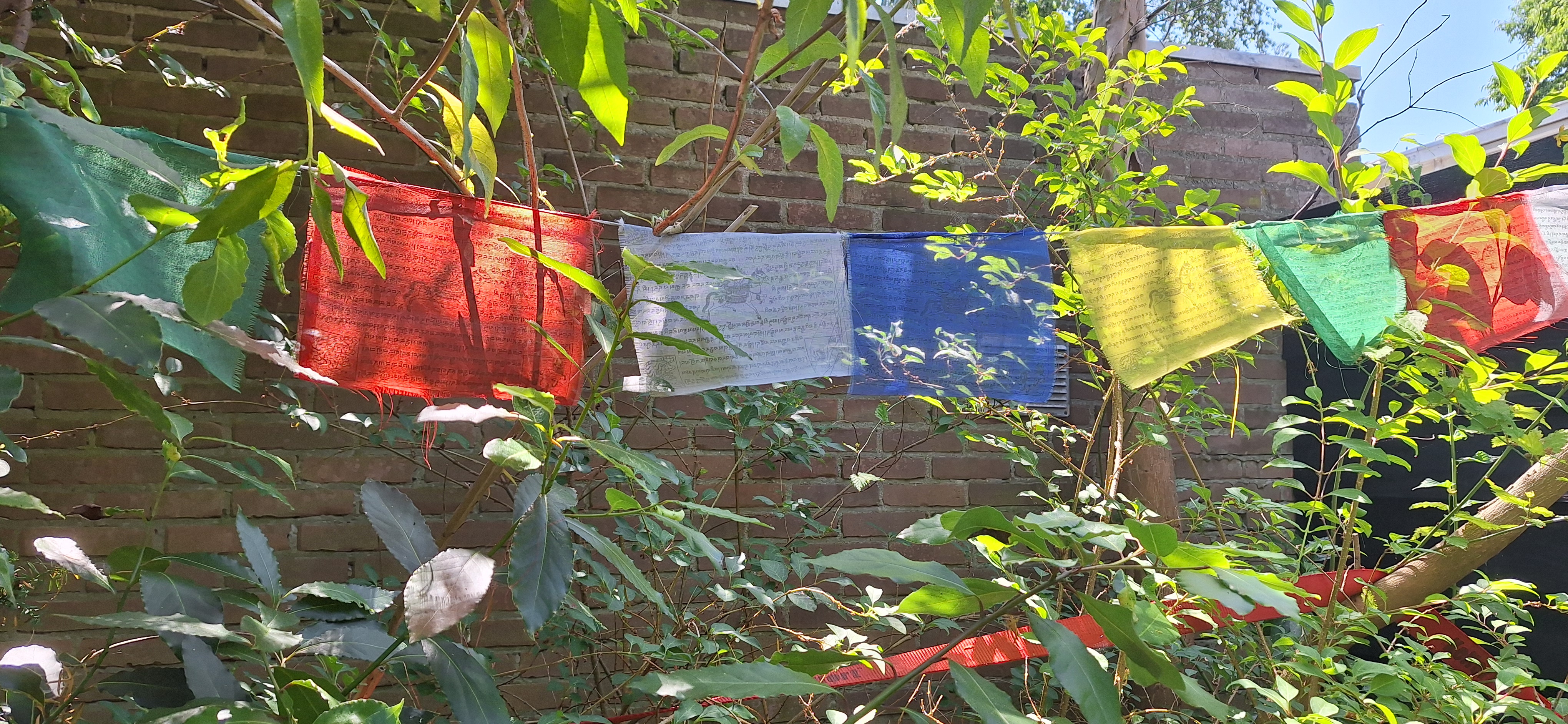 Tibetaanse Gebedsvlaggen koord