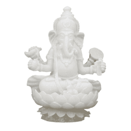 Ganesha wit op lotus