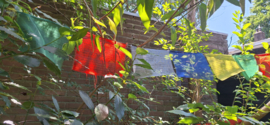 Tibetaanse Gebedsvlag