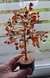 Carneool Edelsteenboom op houten voet