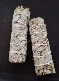 Witte Salie Smudge Stick M