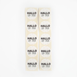 Sticker | Hallo lief zusje