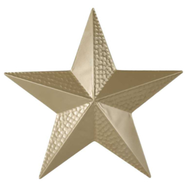 Gouden kerstster