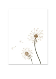 Kaart | Wensbloem