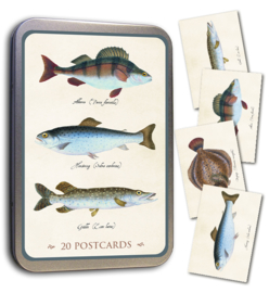 Blik met 20 kaarten (10 x 15 cm) 'vissen'