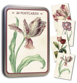 Blik met 20 kaarten (10 x 15 cm) 'tulp'