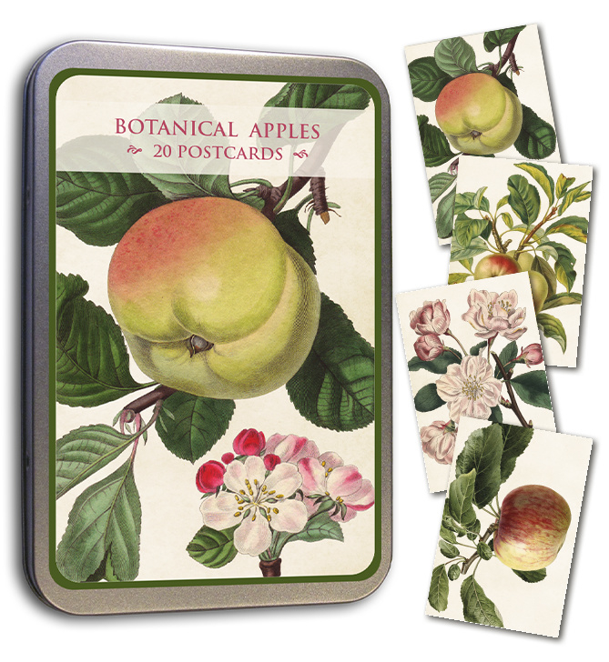 Blik met 20 kaarten (10 x 15 cm) 'appelbloesem'