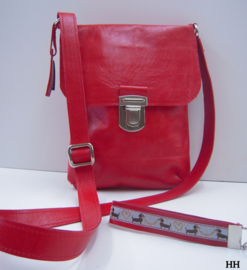 Crossbody Klein Basis