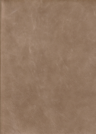 Madagascar Licht Cognac/ Beige (9101)