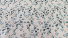 blauwgroen takjes eucalyptus
