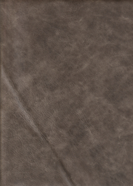 Madagascar Taupe (9102)