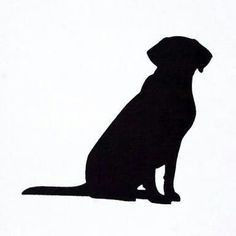 Labrador  zittend 2