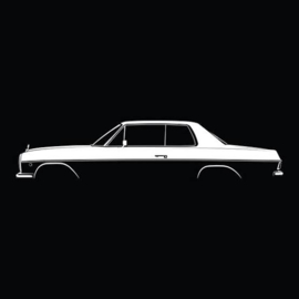 Mercedes Dakhemel W114 Coupé met dakraam
