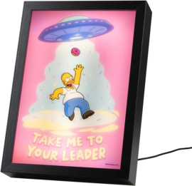 Homer Framed Led print 28x20x5 cm The Simpsons nieuw