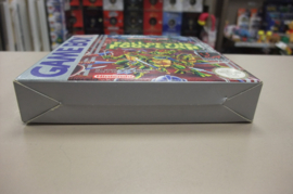 GB Teenage Mutant Hero Turtles: Fall of the Foot Clan (cib) FAH