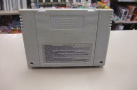 Snes Dragon's Lair (cart only) FAH