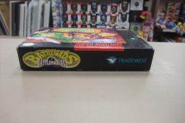 SNES Battletoads In Battlemaniacs (cib) usa