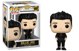 Billie Joe Basket Case 497 POP! Rocks nieuw