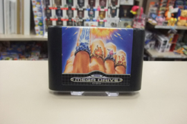 Mega Drive Jewel Master (cib)