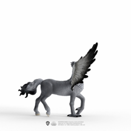 Buckbeak nieuw