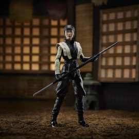 Akiko Action figure 15 cm G.I. Joe nieuw