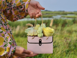 Meisjes tas