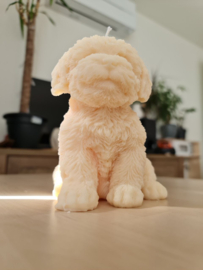 Bobby XL