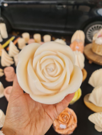 Rose flower XL