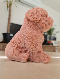 Bobby XL