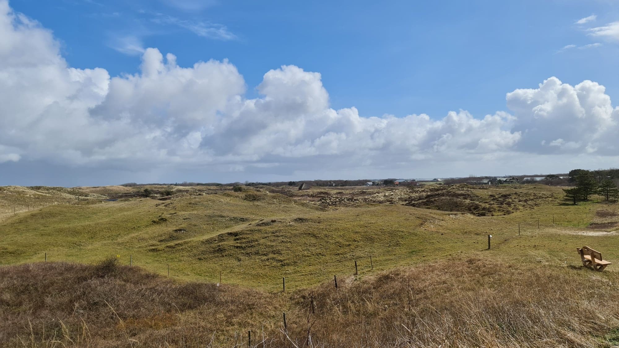 Texel