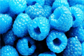 Jolly's Blue Raspberry
