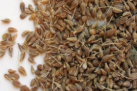 Aniseeds