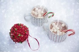 Hot Cocoa with Marshmallows