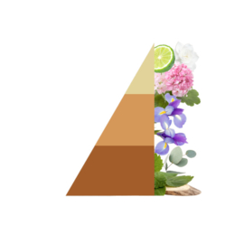 Elixer 50 ml. Wasparfum