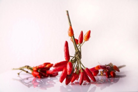 Red Hot Chilli Pepper