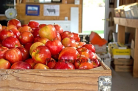 Apple - Appels