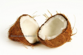 Fractionated Coconutoil