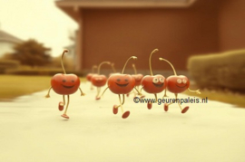 Tom's Cherrys are Lost U.Type
