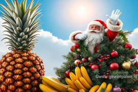 Santas Bombe of Fruits