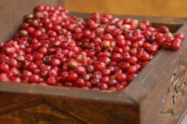 Peppercorns in Pink